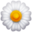 Witte bloem emoji U+1F33C