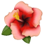 Hibiscus emoji U+1F33A