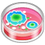 Petrischaal emoji U+1F9EB