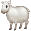 Schaap Whatsapp U+1F411