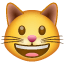 Lachende kat emoji  U+1F63A