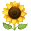 Zonnebloem emoji U+1F33B