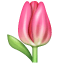 Tulp emoji U+1F337